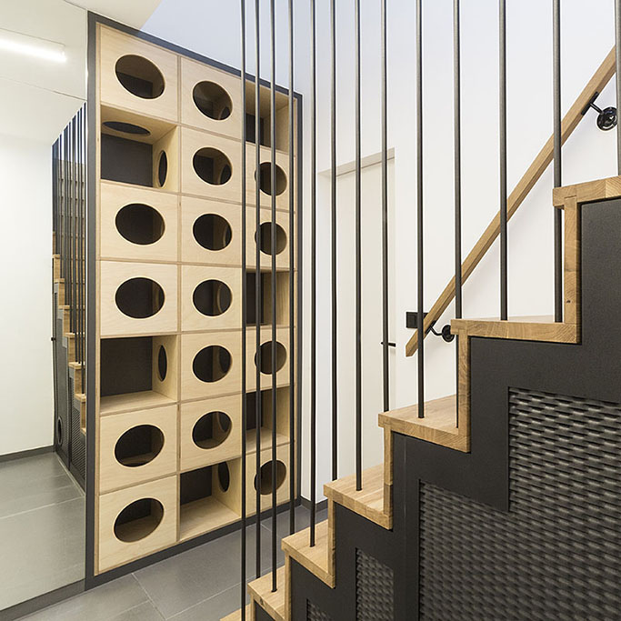 Kočičí stěna Beligi Climbers_1 Kočičí stěna Beligi Climbers